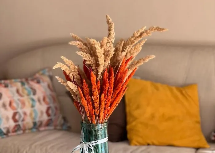 Dkapartments Amrita ネセバル